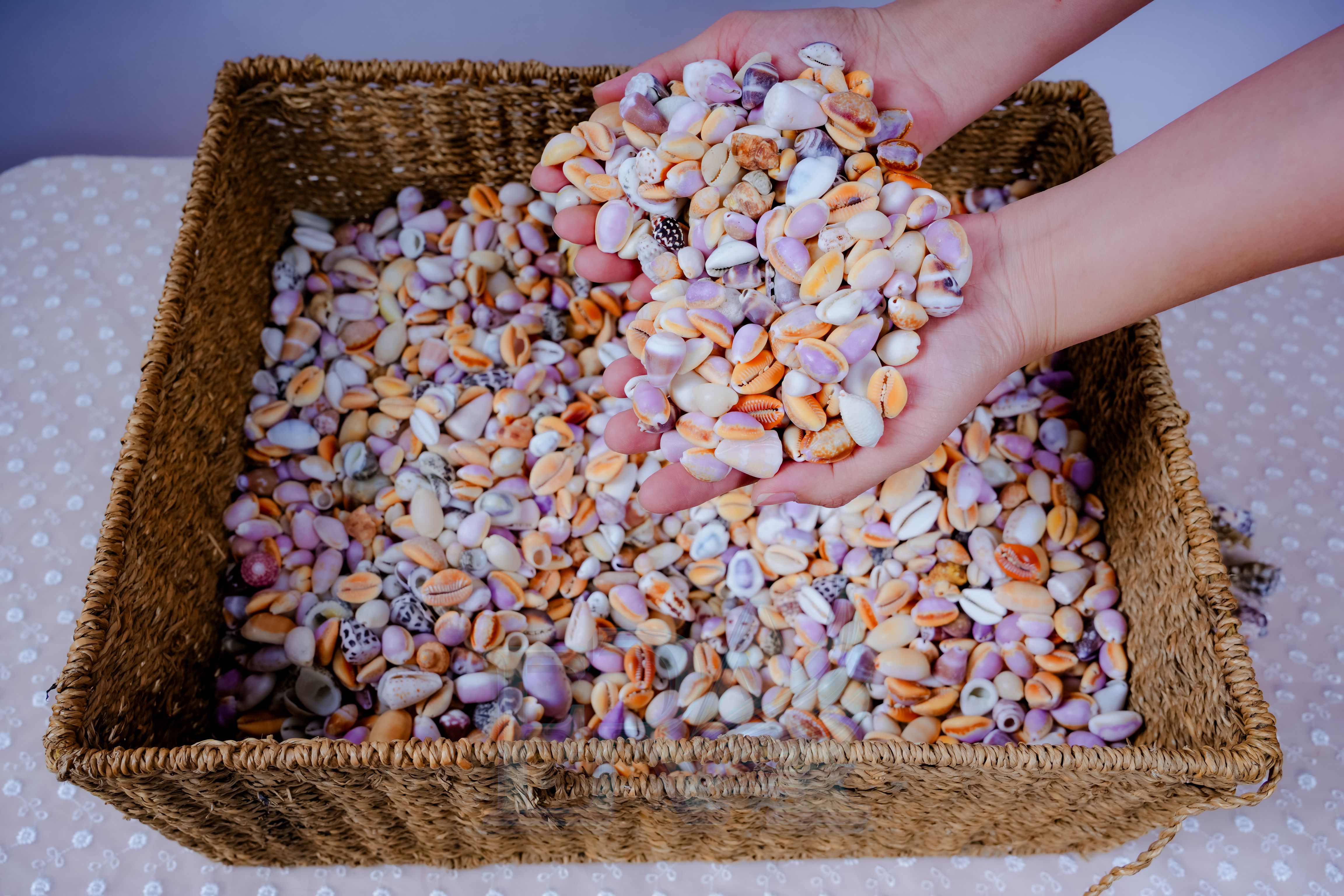 Vỏ Ốc Lộn Xộn 1kg